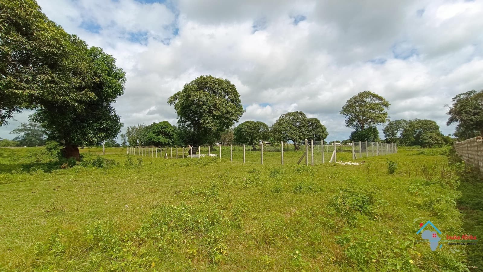 Malindi Airport Gardens