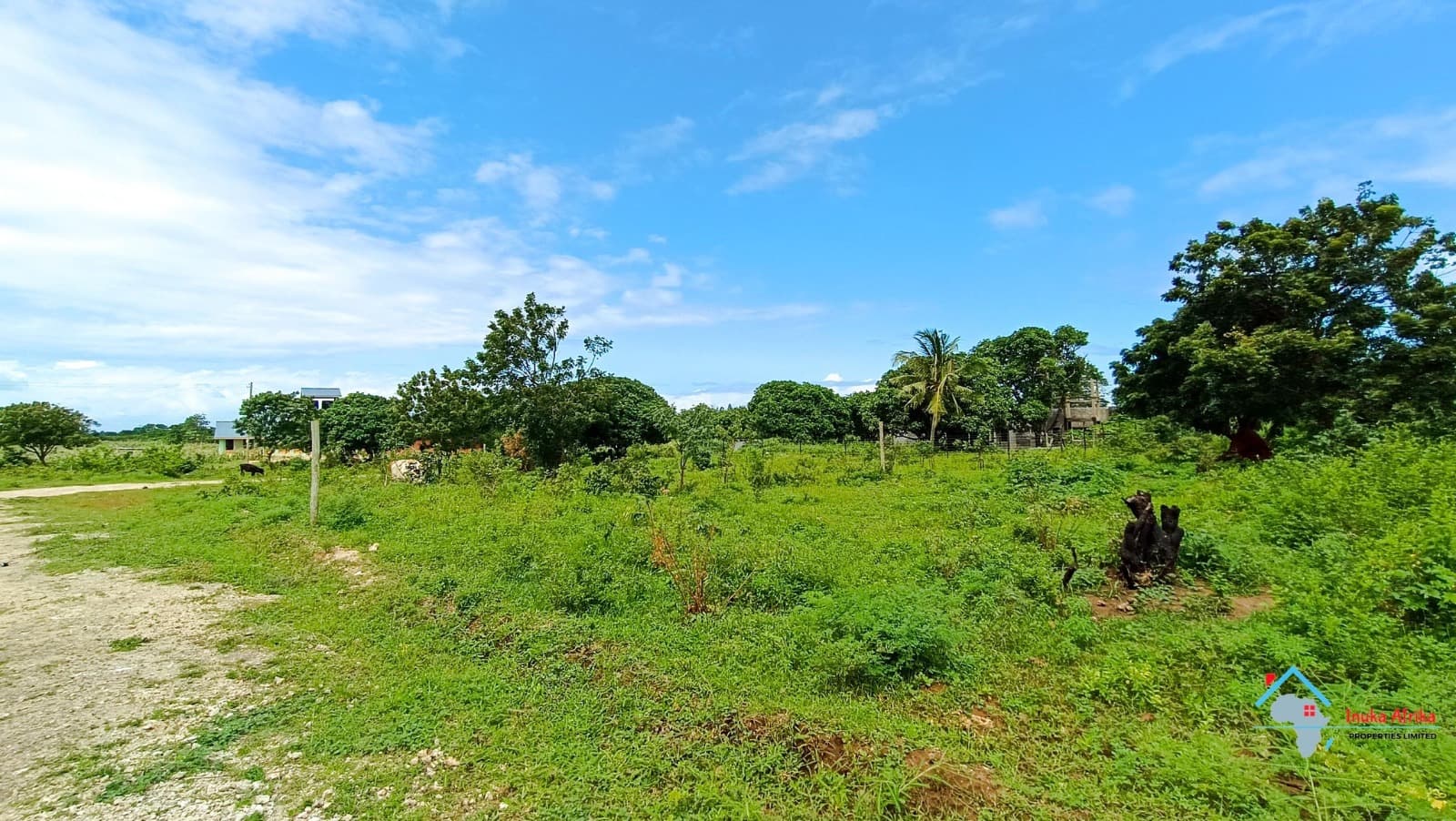 Msabaha Phase 6 land for sale in Malindi, Kizingo Area